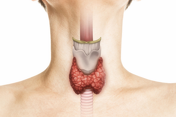 Thyroidectomy